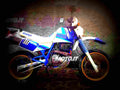 Suzuki DR 600 S 1985 3 motorbike A4 Photo Print