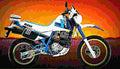 Suzuki DR 600 S 1987 5 motorbike A4 Photo Print