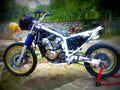 Suzuki DR 600 S 1989 5 motorbike A4 Photo Print