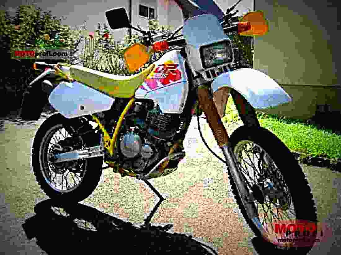 Suzuki DR 600 S (reduced effect) 1985 3 motorbike A4 Photo Print
