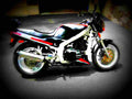 Suzuki DR 600 S (reduced effect) 1989 6 motorbike A4 Photo Print