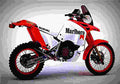 Suzuki DR 650 R Dakar 1990 1 motorbike A4 Photo Print