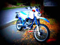 Suzuki DR 650 R Dakar 1990 4 motorbike A4 Photo Print