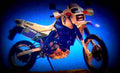 Suzuki DR 650 R Dakar 1990 5 motorbike A4 Photo Print