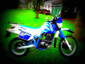 Suzuki DR 650 R Dakar 1991 1 motorbike A4 Photo Print
