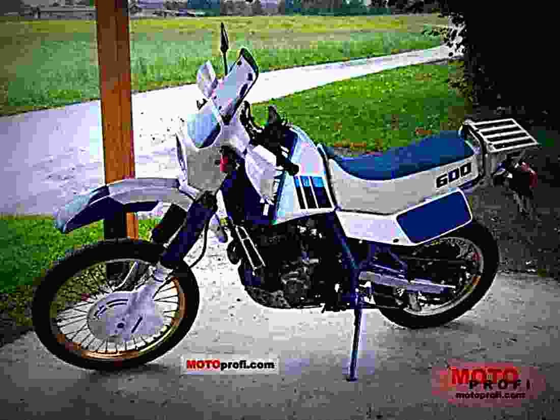 Suzuki DR 650 R Dakar (reduced effect) 1990 2 motorbike A4 Photo Print