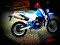 Suzuki DR 650 R Dakar (reduced effect) 1990 5 motorbike A4 Photo Print