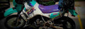 Suzuki DR 650 R Dakar (reduced effect) 1991 1 825x284 motorbike A4 Photo Print