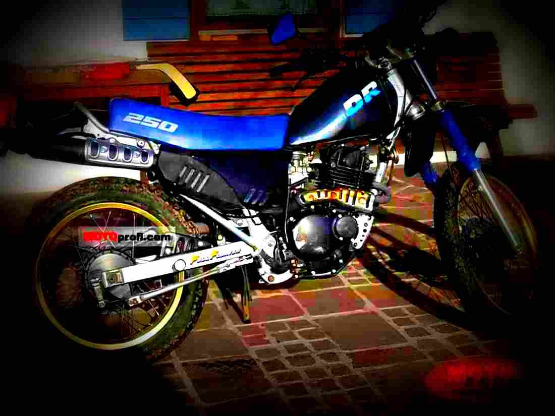 Suzuki DR 650 R Dakar (reduced effect) 1991 4 motorbike A4 Photo Print