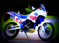 Suzuki DR 650 R Dakar (reduced effect) 1992 2 motorbike A4 Photo Print