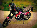 Suzuki DR 650 R Dakar (reduced effect) 1992 3 motorbike A4 Photo Print