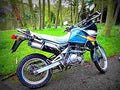 Suzuki DR 650 R Dakar (reduced effect) 1992 5 motorbike A4 Photo Print