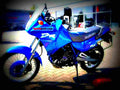 Suzuki DR 650 RSE 1993 1 motorbike A4 Photo Print