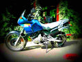 Suzuki DR 650 RSE 1996 3 motorbike A4 Photo Print