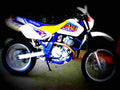 Suzuki DR 650 SE 1996 2 motorbike A4 Photo Print