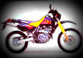 Suzuki DR 650 SE 1996 5 motorbike A4 Photo Print