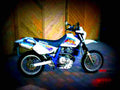 Suzuki DR 650 SE 1998 5 motorbike A4 Photo Print