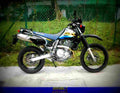 Suzuki DR 650 SE 1999 6 motorbike A4 Photo Print