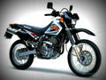 Suzuki DR 650 SE 2000 4 motorbike A4 Photo Print