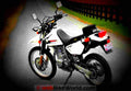 Suzuki DR 650 SE 2000 5 motorbike A4 Photo Print