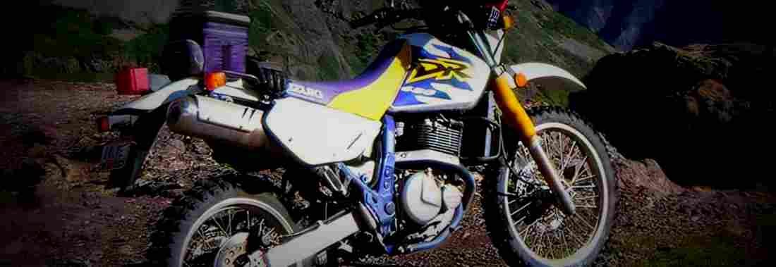 Suzuki DR 650 SE 2001 1 825x284 motorbike A4 Photo Print