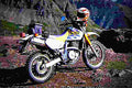Suzuki DR 650 SE 2001 1 motorbike A4 Photo Print
