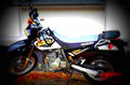 Suzuki DR 650 SE 2001 3 motorbike A4 Photo Print