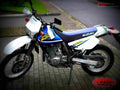 Suzuki DR 650 SE 2001 5 motorbike A4 Photo Print