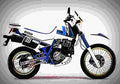 Suzuki DR 650 SE 2001 6 motorbike A4 Photo Print