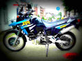 Suzuki DR 800 S 1998 1 motorbike A4 Photo Print