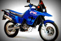 Suzuki DR Big 800 S (reduced effect) 1991 1 motorbike A4 Photo Print