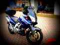 Suzuki DR Big 800 S (reduced effect) 1991 6 motorbike A4 Photo Print