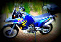 Suzuki DR Big 800 S (reduced effect) 1992 2 motorbike A4 Photo Print