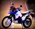 Suzuki DR Big 800 S (reduced effect) 1992 5 motorbike A4 Photo Print