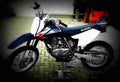 Suzuki DR Z 125 2002 3 motorbike A4 Photo Print