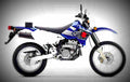 Suzuki DR Z 250 2003 6 motorbike A4 Photo Print