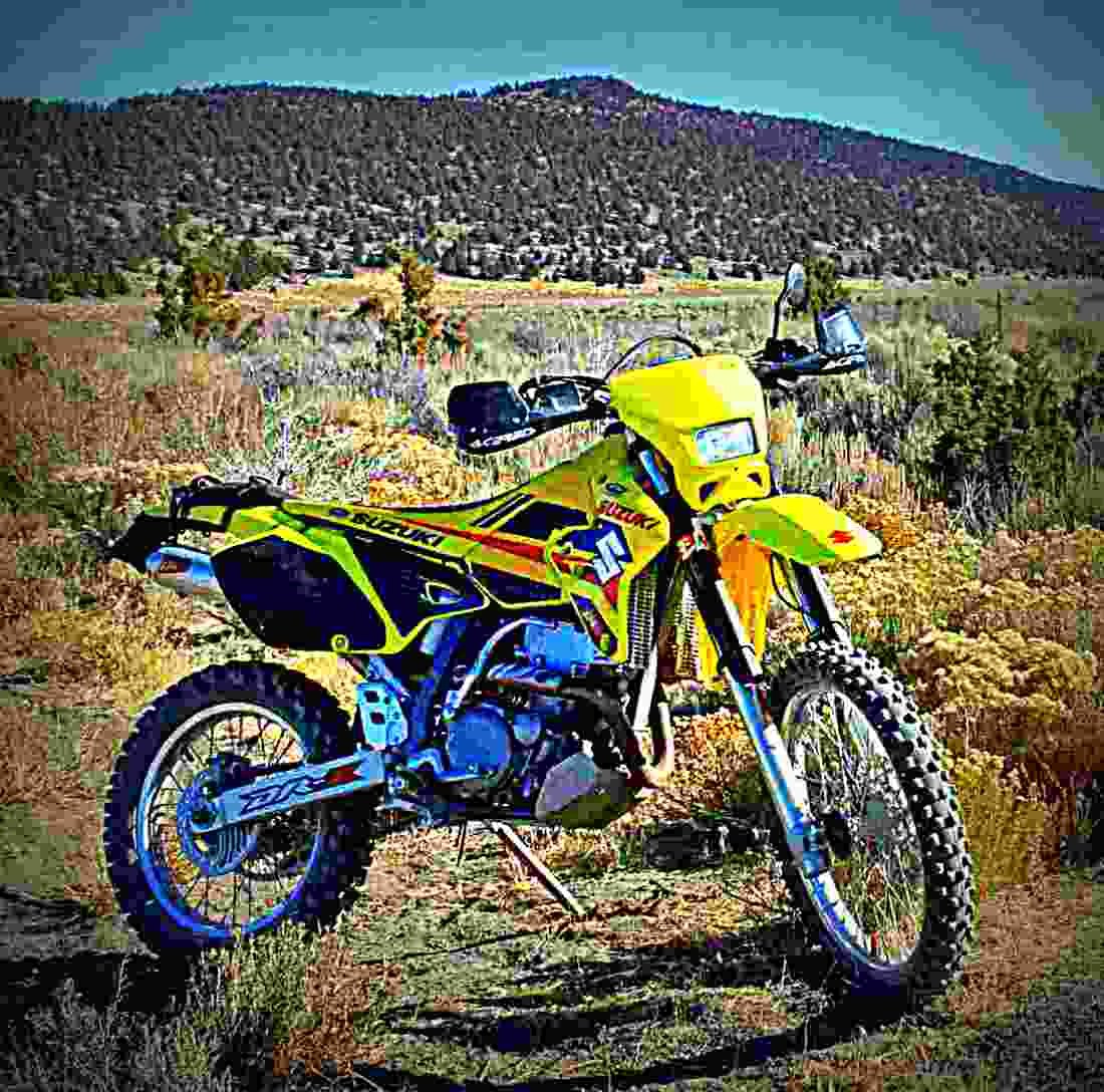 Suzuki DR Z 400 E 2002 2 motorbike A4 Photo Print