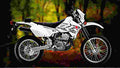 Suzuki DR Z400S 2018 2 motorbike A4 Photo Print