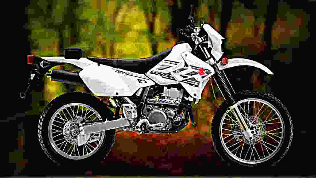 Suzuki DR Z400S 2018 2 motorbike A4 Photo Print