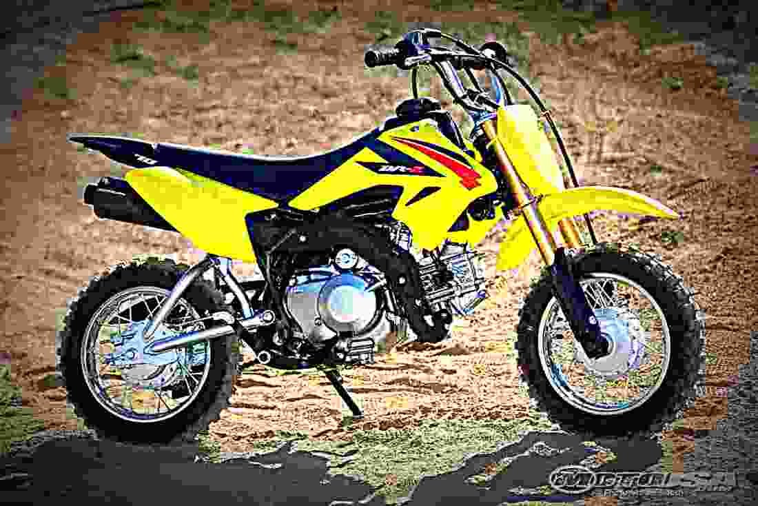 Suzuki DR Z70 2017 4 motorbike A4 Photo Print