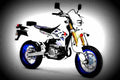 Suzuki DR200SE 2017 2 motorbike A4 Photo Print