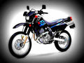 Suzuki DR650S 2017 1 motorbike A4 Photo Print