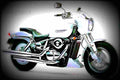 Suzuki Desperado 400 1999 3 motorbike A4 Photo Print