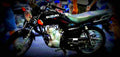 Suzuki GD110 2017 1 595x284 motorbike A4 Photo Print