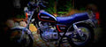 Suzuki GN 250 1997 1 640x284 motorbike A4 Photo Print