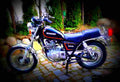 Suzuki GN 250 1997 1 motorbike A4 Photo Print