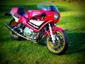 Suzuki GNX 250 E 1983 5 motorbike A4 Photo Print