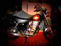 Suzuki GNX 250 E 1984 2 motorbike A4 Photo Print