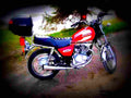 Suzuki GS 125 ES 1999 2 motorbike A4 Photo Print