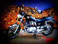 Suzuki GS 450 L 1981 6 motorbike A4 Photo Print